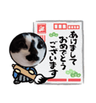 猫ウニ（個別スタンプ：20）