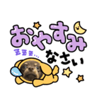 チワックスのなな（個別スタンプ：5）
