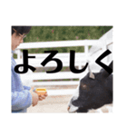 2025冬休み（個別スタンプ：13）
