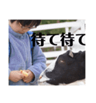 2025冬休み（個別スタンプ：27）
