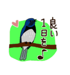 野鳥さんスタンプ アオバズク多め（個別スタンプ：8）