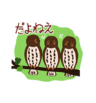 野鳥さんスタンプ アオバズク多め（個別スタンプ：11）