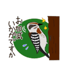 野鳥さんスタンプ アオバズク多め（個別スタンプ：24）