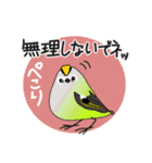 野鳥さんスタンプ アオバズク多め（個別スタンプ：28）