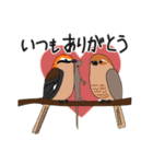 野鳥さんスタンプ アオバズク多め（個別スタンプ：31）