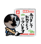 猫ウニちゃん（個別スタンプ：19）