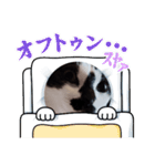 猫ウニちゃん（個別スタンプ：30）