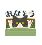 まだ休みたーい＊ハチワレぶーにゃん（個別スタンプ：13）