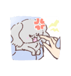 ✧愛犬スタンプ✧（個別スタンプ：15）