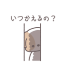 うちのかわいいシーズー（個別スタンプ：26）