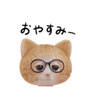 ネコねこ①（個別スタンプ：7）