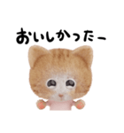 ネコねこ①（個別スタンプ：11）