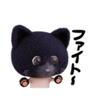 ネコねこ①（個別スタンプ：12）