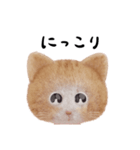 ネコねこ①（個別スタンプ：15）