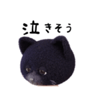 ネコねこ①（個別スタンプ：18）