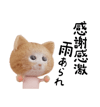 ネコねこ①（個別スタンプ：19）