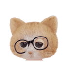 ネコねこ①（個別スタンプ：35）