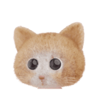 ネコねこ①（個別スタンプ：37）