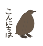 キングペンギンのヒナ（個別スタンプ：2）