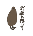 キングペンギンのヒナ（個別スタンプ：13）