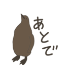 キングペンギンのヒナ（個別スタンプ：20）