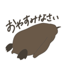 キングペンギンのヒナ（個別スタンプ：23）