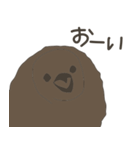 キングペンギンのヒナ（個別スタンプ：24）