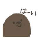 キングペンギンのヒナ（個別スタンプ：25）