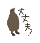 キングペンギンのヒナ（個別スタンプ：29）