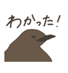 キングペンギンのヒナ（個別スタンプ：31）