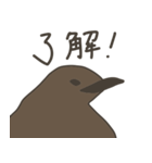 キングペンギンのヒナ（個別スタンプ：34）