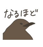 キングペンギンのヒナ（個別スタンプ：35）