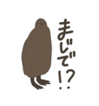 キングペンギンのヒナ（個別スタンプ：37）