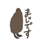 キングペンギンのヒナ（個別スタンプ：38）
