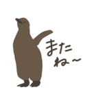 キングペンギンのヒナ（個別スタンプ：40）