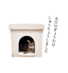ねこのマリーちゃん（個別スタンプ：8）