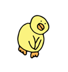 ひよこのひーくん（個別スタンプ：14）