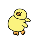 ひよこのひーくん（個別スタンプ：15）
