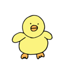 ひよこのひーくん（個別スタンプ：20）