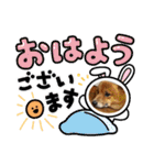 レンくん2（タヌキツネイッヌ）（個別スタンプ：7）