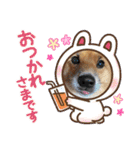 レンくん2（タヌキツネイッヌ）（個別スタンプ：8）