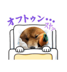 レンくん2（タヌキツネイッヌ）（個別スタンプ：10）