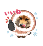 レンくん2（タヌキツネイッヌ）（個別スタンプ：12）
