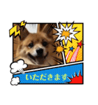 レンくん2（タヌキツネイッヌ）（個別スタンプ：17）