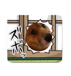 レンくん2（タヌキツネイッヌ）（個別スタンプ：25）