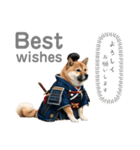 柴犬太侍（個別スタンプ：1）