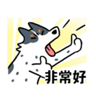 DINDINDANDANDOG_10_仲良しな犬達（個別スタンプ：11）