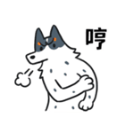 DINDINDANDANDOG_10_仲良しな犬達（個別スタンプ：21）