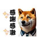 ゴルフしば犬男子（個別スタンプ：11）