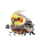 しれっとごまかすオカメインコ（個別スタンプ：21）